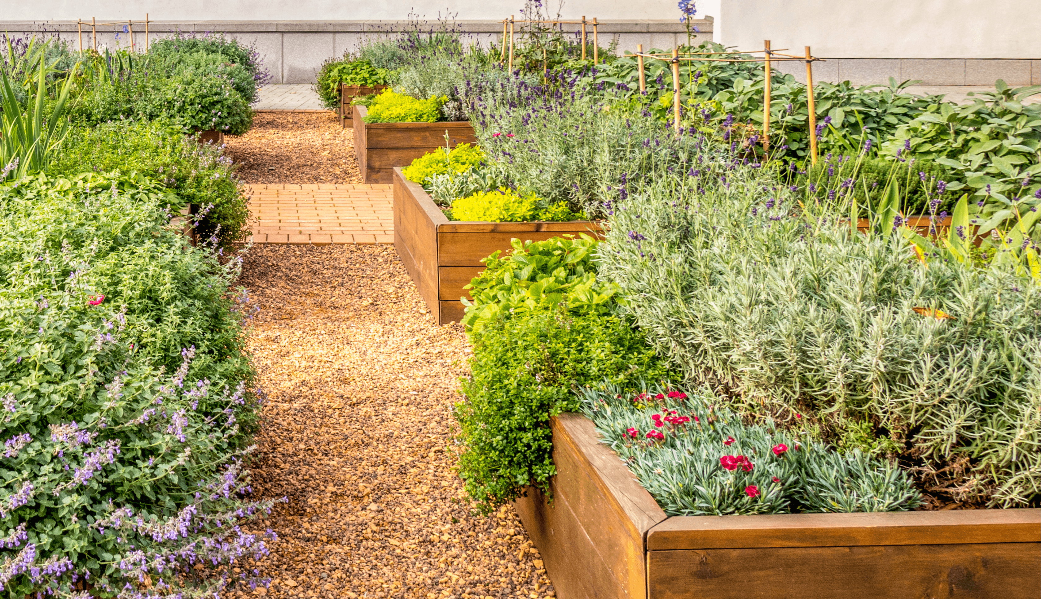 How To Plan And Plant Your Herb Garden with Koidu Sulev