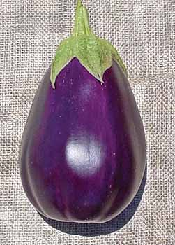 water eggplant Water eggplant - Stock Photo [100498409] - PIXTA